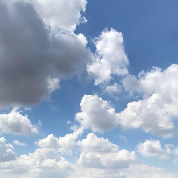 Meet your Posher, Nina - Picture 1 of 1